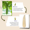 Home Grown Natural Loofah - Exfoliating Body Sponge - close-up