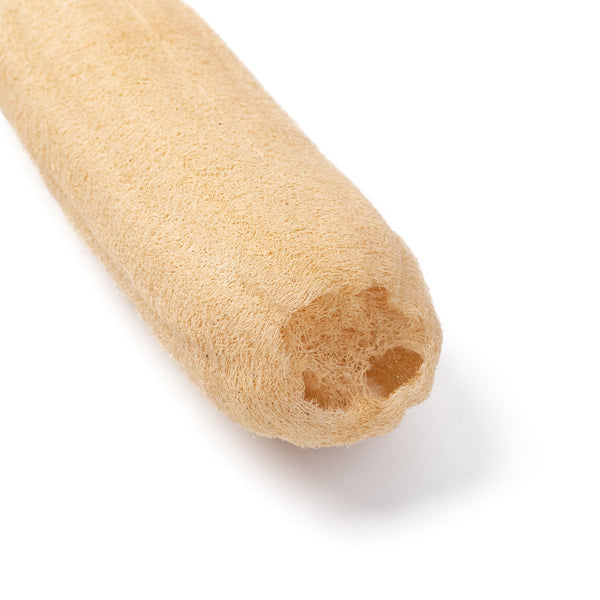 Home Grown Natural Loofah - Exfoliating Body Sponge - size comparison