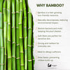 Eco Bath Bamboo Hair Brush with Wooden Pins - Eco Bath London