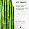 Eco Bath Bamboo Toothbrush in Bamboo Tube | First Step to Sustainable Life - Eco Bath London