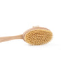 Natural Body Brush - Dry Brushing & Shower Exfoliation - side view