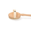 Natural Body Brush - Dry Brushing & Shower Exfoliation - texture