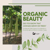Eco Bath Natural Loofah Brush - Eco Bath London