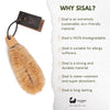 Japanese SPA Sisal Brush - Eco Bath London